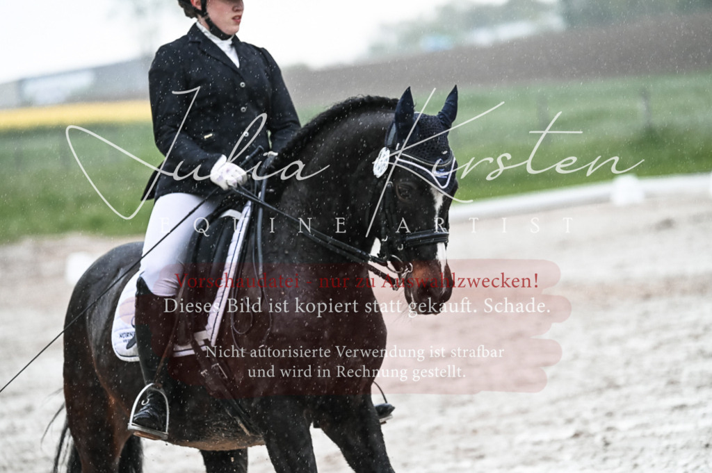 DSC_4672 | Pferde- und Turnierfotografie in Westsachsen. Pferdeportraits, Auftragszeichnungen und intuitive Kunst.