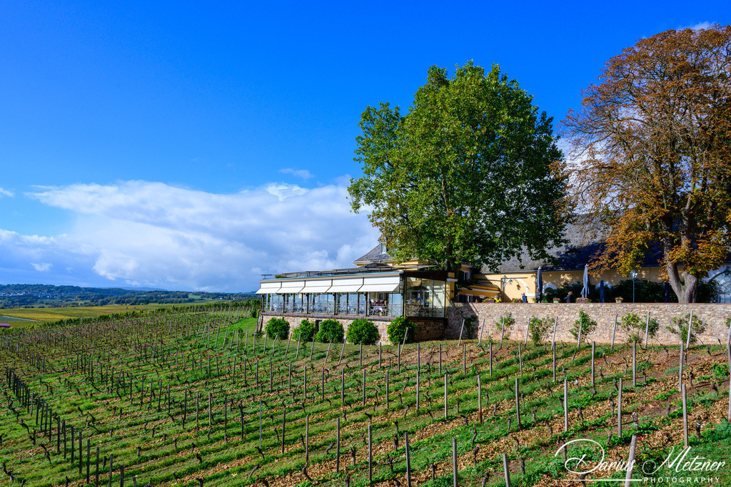 _DSC0410 | Fotografien, Fotos und Bilder aus Mainz, Frankfurt, Wiesbaden und anderen Orten auf der Welt - Fotografiert von Darius Metzner