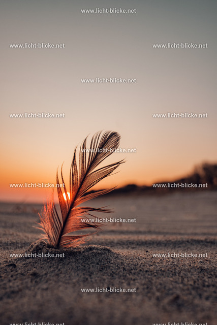 FXT28391 | lichtblicke - Realisiert mit Pictrs.com