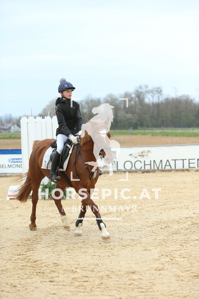 DL2Q2337 | Willkommen bei Brunnmayr - Design & Fotografie – Ihrem Spezialisten für Reitturniere und Pferdeveranstaltungen in Oberösterreich, Salzburg und Bayern! Seit über 17 Jahren sind wir leidenschaftlich dabei.