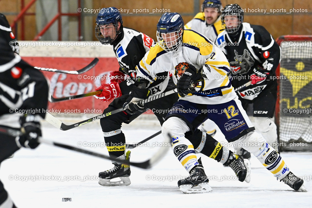 EC Tigers Paternion vs. Tarco Wölfe II | #19 Werner Maximilian Tarco Wölfe II, #12 Steiner Domenik EC Tigers Paternion, EC Tigers Paternion vs. Tarco Wölfe II, EC Tigers Paternion vs. Tarco Wölfe II am 19.12.2024 in Spittal an der Drau (Eissportzentrum Spittal), Austria, (Photo by Bernd Stefan)
