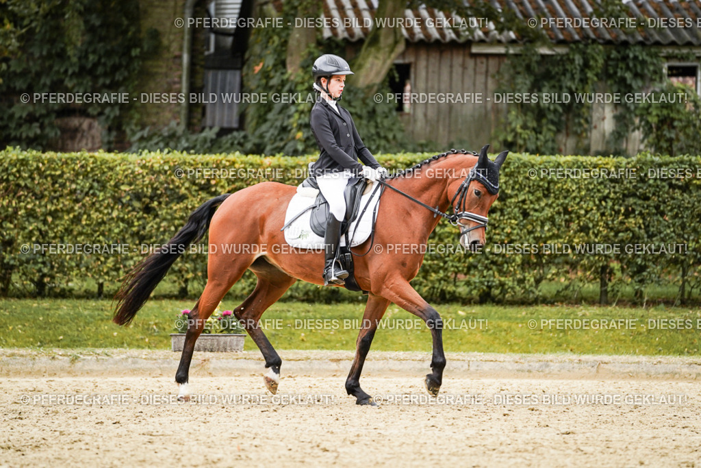 DSC07912 | Pferdegrafie