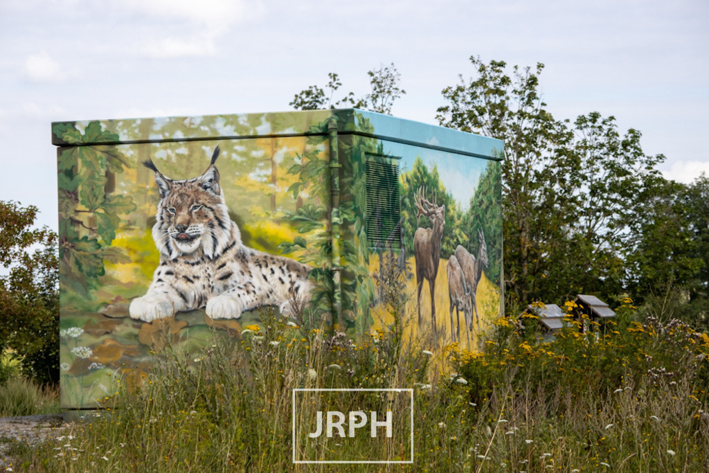 IMG_7954 | jrph - Realisiert mit Pictrs.com