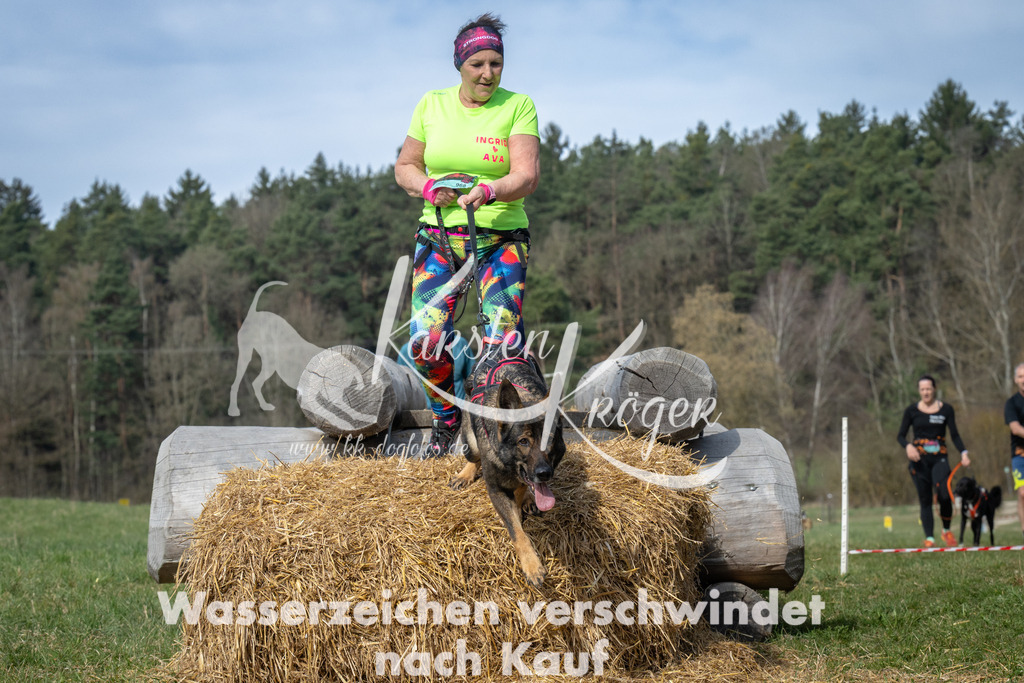 1033_ZZ92295 | kk-dogfotos