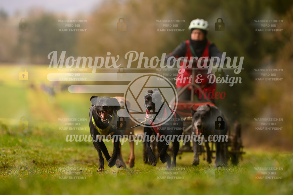 MompixPhotography_2SSTSSBW_2025_SO_Kart-7 | PayLife
