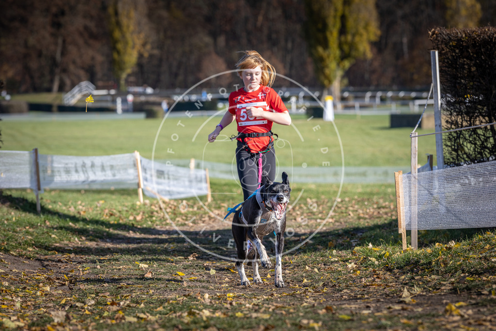 CaniXpix_DV3A8718 | Hundefotografie, Tierfotograf, Pfotenfotografie, Fotoshooting Hund, Hunde Portrait, Hundesport, Hundeportraits, Heideshooting, Hunde, Sportfotograf, Hundefotograf, Turnierhundsport, THS,  - Realisiert mit Pictrs.com