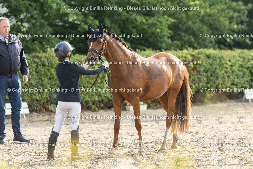 CL5A3670 | Emilia Reinking Fotografie - Realisiert mit Pictrs.com