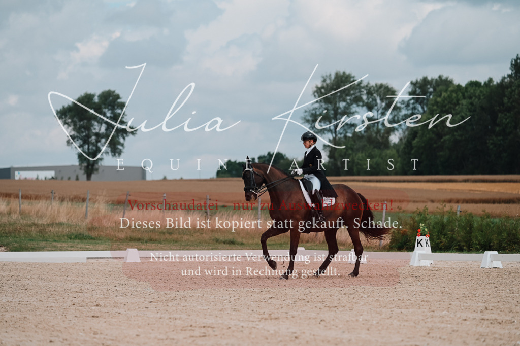 DSC_4183 | Pferde- und Turnierfotografie in Westsachsen. Pferdeportraits, Auftragszeichnungen und intuitive Kunst.