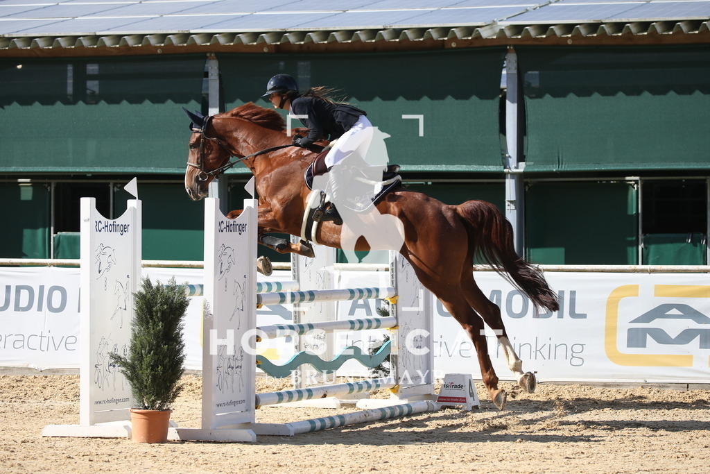 DL2Q3403 | Willkommen bei Brunnmayr - Design & Fotografie – Ihrem Spezialisten für Reitturniere und Pferdeveranstaltungen in Oberösterreich, Salzburg und Bayern! Seit über 17 Jahren sind wir leidenschaftlich dabei.