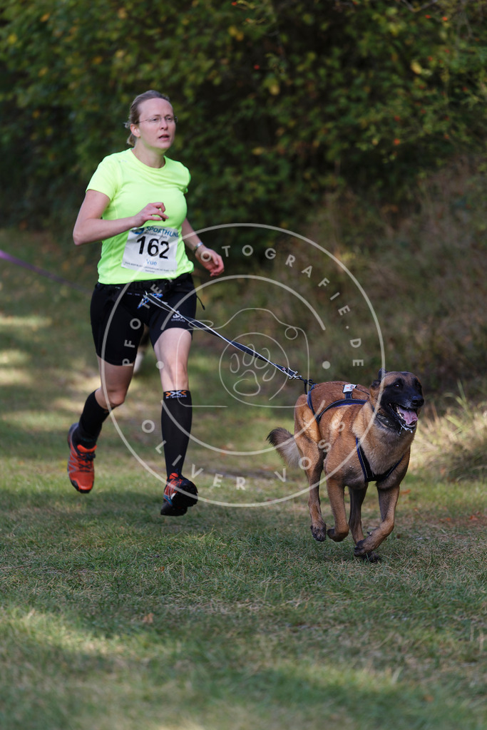 0L8A5211 | Hundefotografie, Tierfotograf, Pfotenfotografie, Fotoshooting Hund, Hunde Portrait, Hundesport, Hundeportraits, Heideshooting, Hunde, Sportfotograf, Hundefotograf, Turnierhundsport, THS,  - Realisiert mit Pictrs.com