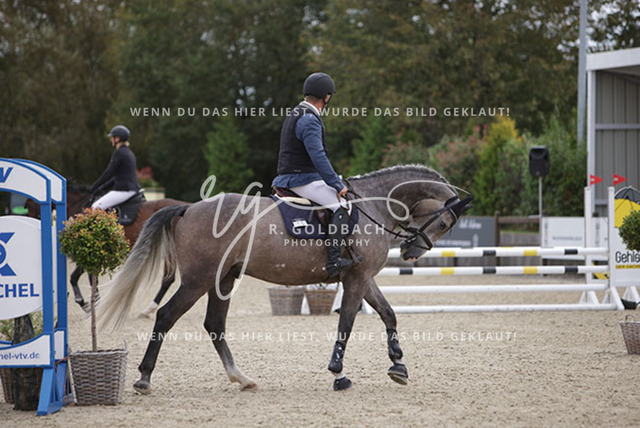 1J2A2090Claas Christoph Gröpper_ Cellarimo_ Kn181_ Havekost | Foto- und Videografie für alles rund ums Pferd. Hochwertige Bilder und Videos vom Spring- und Dressurreiten, Voltigieren & mehr. Jetzt aktuelle Veranstaltungen und Preise im Shop ansehen. - Realisiert mit Pictrs.com