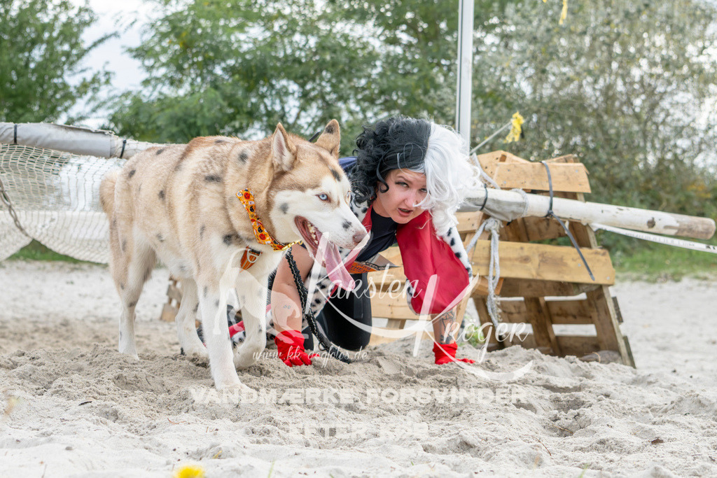 1510_ZZ93326 | kk-dogfotos