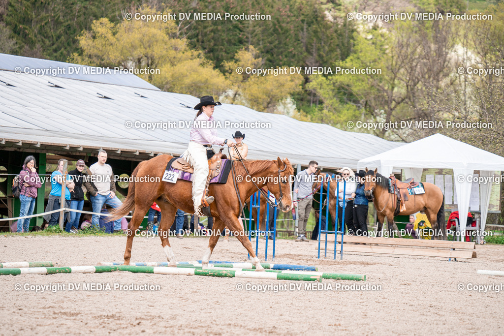 BAL02463 | dv-media-shop - Realisiert mit Pictrs.com