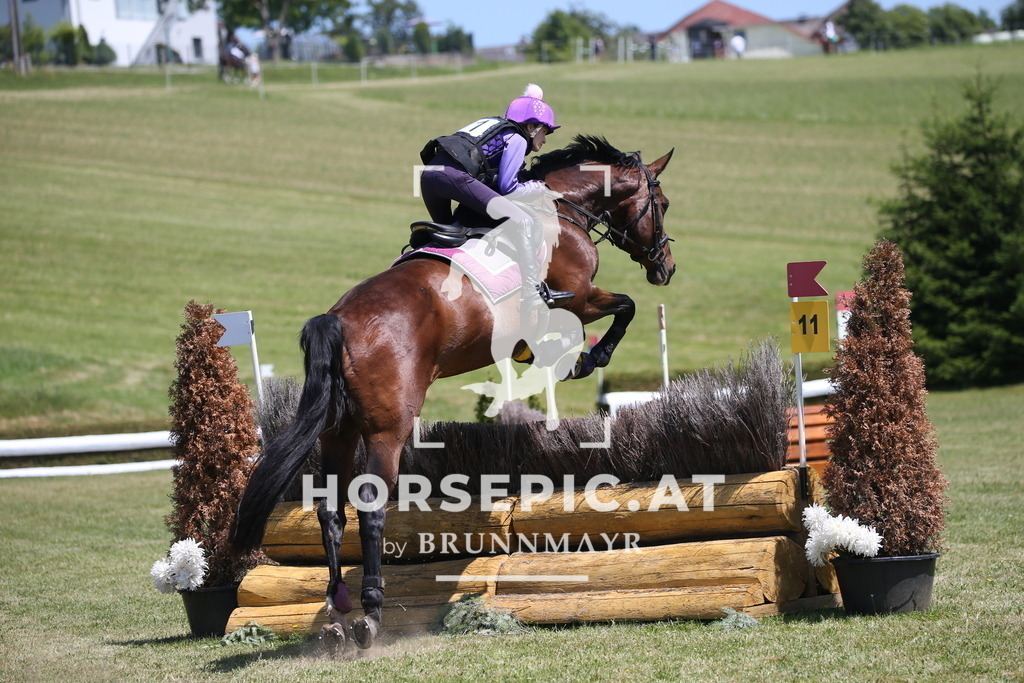DL2Q1100 | Willkommen bei Brunnmayr - Design & Fotografie – Ihrem Spezialisten für Reitturniere und Pferdeveranstaltungen in Oberösterreich, Salzburg und Bayern! Seit über 17 Jahren sind wir leidenschaftlich dabei.