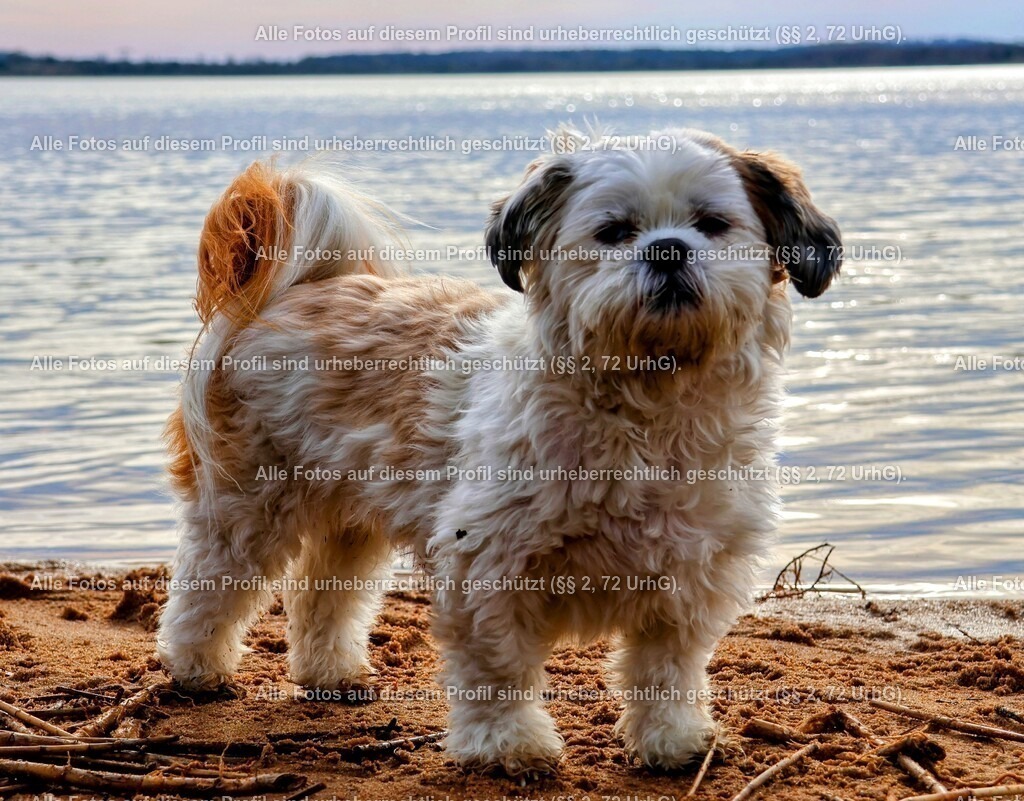 20240326154541_0C4A4262-01_3 | krollfotografie - Realisiert mit Pictrs.com