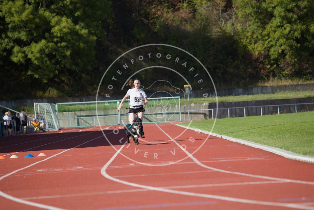 0L8A8854 | Hundefotografie, Tierfotograf, Pfotenfotografie, Fotoshooting Hund, Hunde Portrait, Hundesport, Hundeportraits, Heideshooting, Hunde, Sportfotograf, Hundefotograf, Turnierhundsport, THS,  - Realisiert mit Pictrs.com