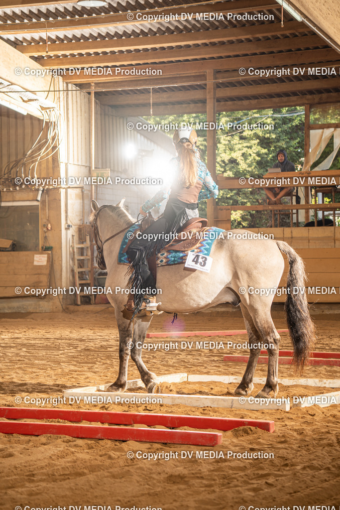 NID02549 | dv-media-shop - Realisiert mit Pictrs.com