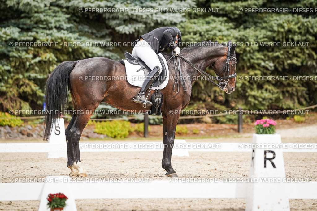 DSC05773 | Pferdegrafie