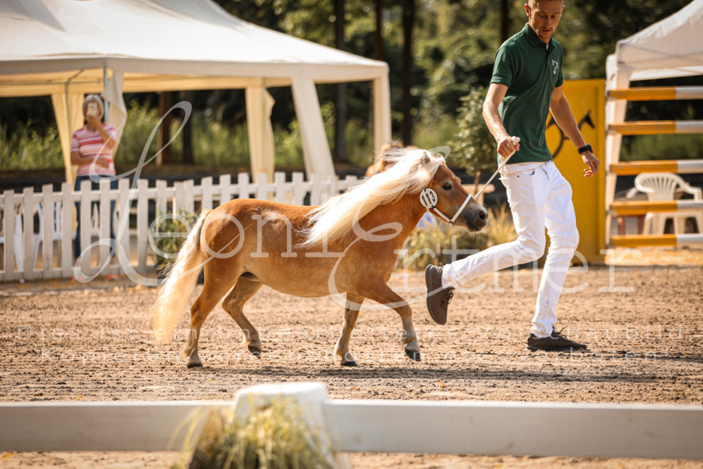 01.So00014 | Leoni Ertmer Photography - Realisiert mit Pictrs.com