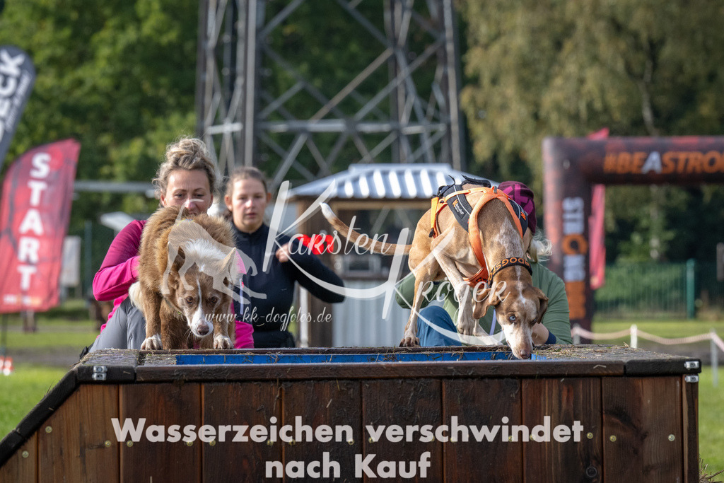 1419-94708 | kk-dogfotos