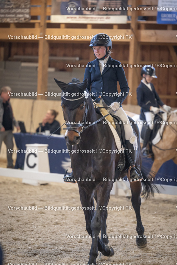 _D5A2546 | Emotionale Pferde- & People-Fotografie rund um Heidelberg, Leimen & Umgebung. Natürliche Fotos von Pferd, Mensch & Familie. Jetzt Termin sichern!