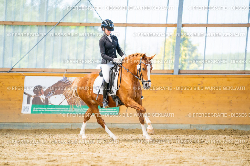 DSC08134 | Pferdegrafie