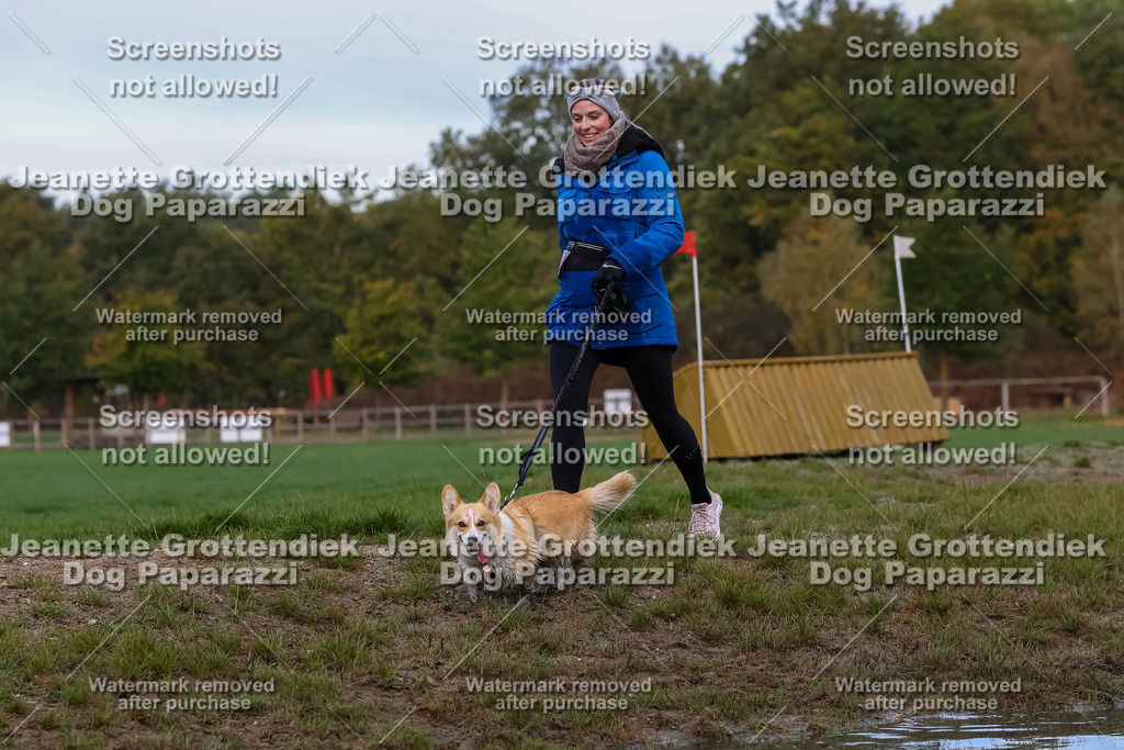 Dog Paparazzi - Strongdog 10-25-6845 | Dog Paparazzi Jeanette Grottendiek Fotografie & Videografie - Realisiert mit Pictrs.com