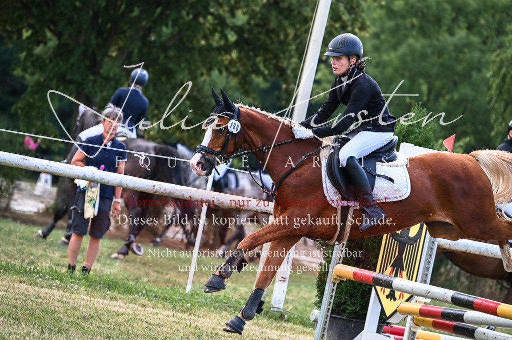 DSC_8087 | Pferde- und Turnierfotografie in Westsachsen. Pferdeportraits, Auftragszeichnungen und intuitive Kunst.