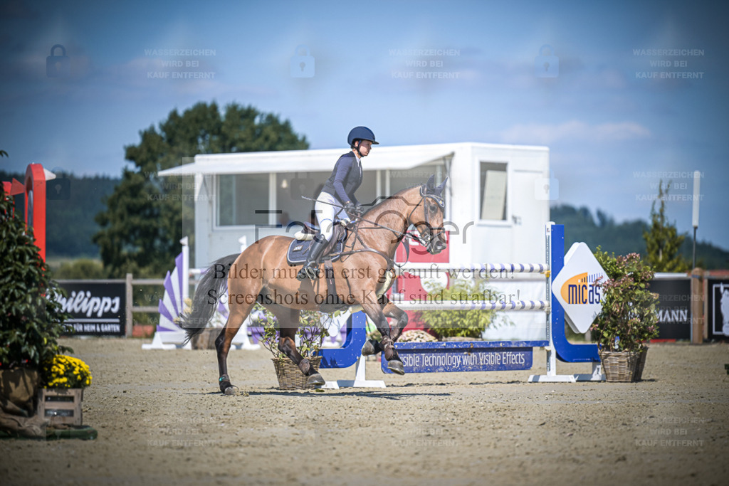 DOS_3699 | Entdecke hochwertige Reitturnierfotos von Foto Oger. Professionell, emotional und authentisch – jetzt Lieblingsmomente im Shop bestellen. - Realisiert mit Pictrs.com