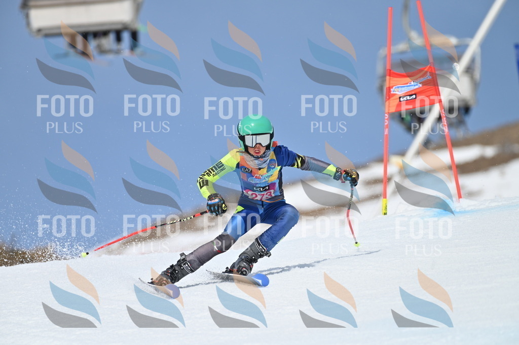 BGV_2308 | holidayphoto