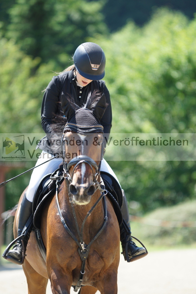 DSC00768 | equestrian-live-com
