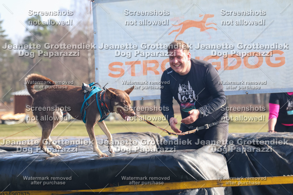 Dog Paparazzi - Strongdog North Mrz26-855 | Dog Paparazzi Jeanette Grottendiek Fotografie & Videografie - Realisiert mit Pictrs.com