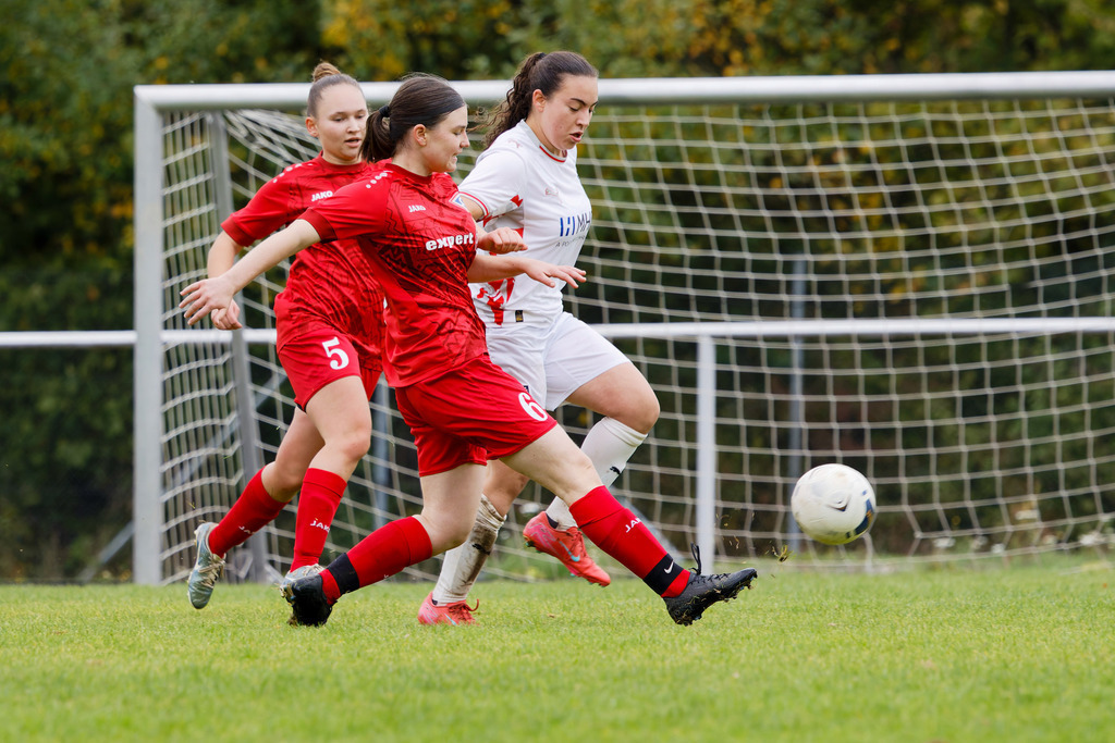 FCEFCH_251012_3028 | Fotopresso – Sportfotografie in Heidenheim & Umgebung. Professionelle Sportfotografie für unvergessliche Momente. Dynamische Action-Shots, emotionale Szenen & hochwertige Bilder. - Realisiert mit Pictrs.com