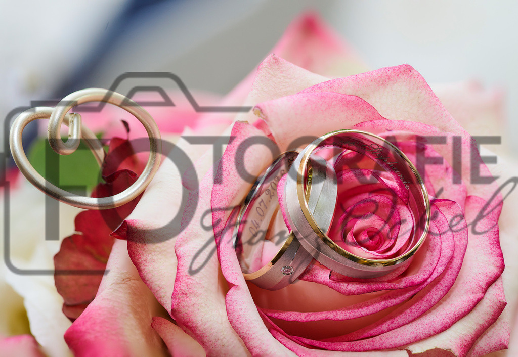 A_Ringe | Fotobox, Portraitfotografie, Hochzeitsfotografie, Bewerbungsfoto - Realisiert mit Pictrs.com