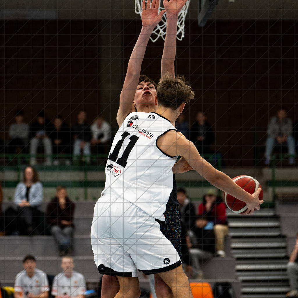 JBBL 24/25 | 23.11.2024 | Charisma Young Bulls vs. UBC Münster  | JBBL 24/25 | 23.11.2024 | Charisma Young Bulls vs. UBC Münster - - - - - CREDIT, www.bullenfotos.de, Martin König, Hörner Weg 40, D-49078 Osnabrück, +4917663732967, Nutzung und Weitergabe nur zu den vereinbarten Zwecken. Presseanfragen an Urheber. Alle Rechte beim Urheber. - - - - - - Realisiert mit Pictrs.com