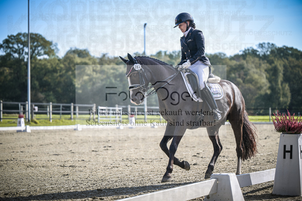 DOS_0804 | Entdecke hochwertige Reitturnierfotos von Foto Oger. Professionell, emotional und authentisch – jetzt Lieblingsmomente im Shop bestellen.Deutschlandweite Turnierfotografie. - Realisiert mit Pictrs.com