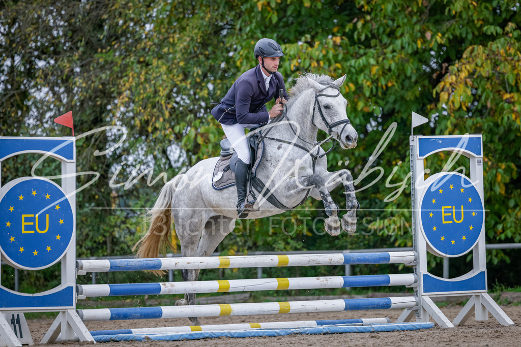 20251012-_3LI3765 | Tierfotografie Pferde, Hunde, Katzen, Haustiere.
Turnierfotografie Reitturniere, Reiten, Springreiten, Dressur in Hanau, dem Main-Kinzig-Kreis und dem Rhein-Main- Gebiet um Frankfurt