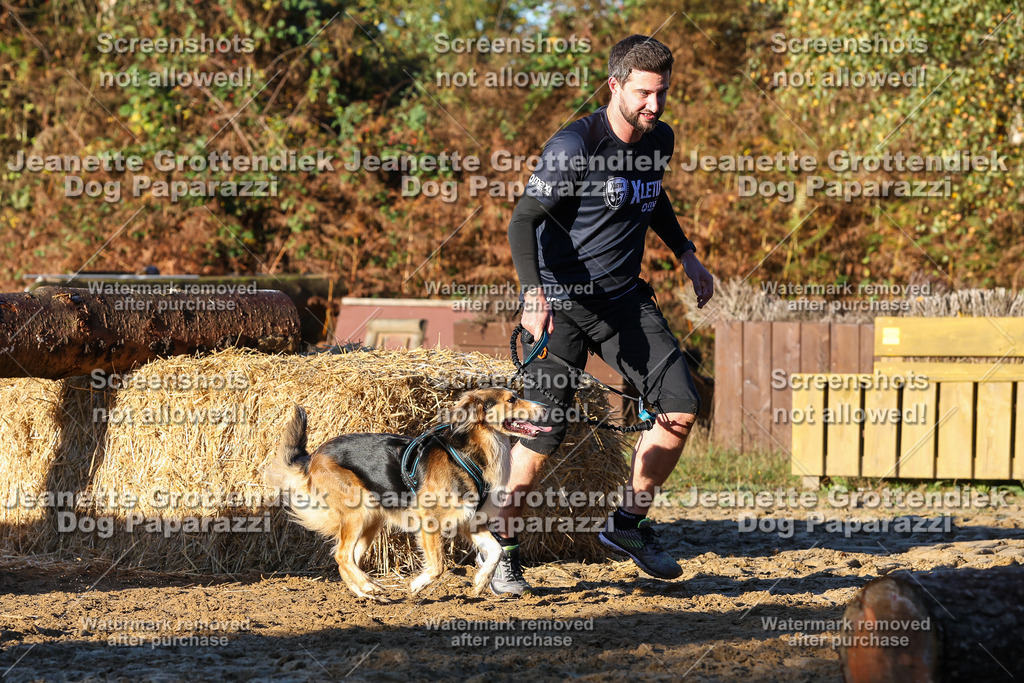 Dog Paparazzi - Strongdog 10-25-953 | Dog Paparazzi Jeanette Grottendiek Fotografie & Videografie - Realisiert mit Pictrs.com
