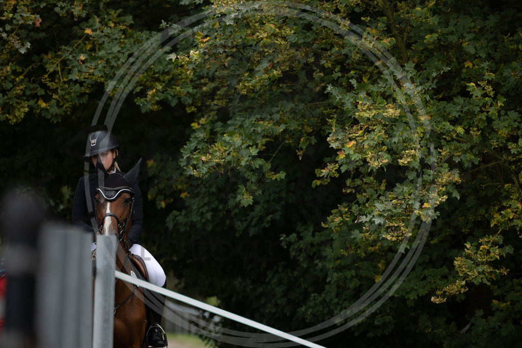 994A2310 | sabrinanicolaifotografie - Realisiert mit Pictrs.com