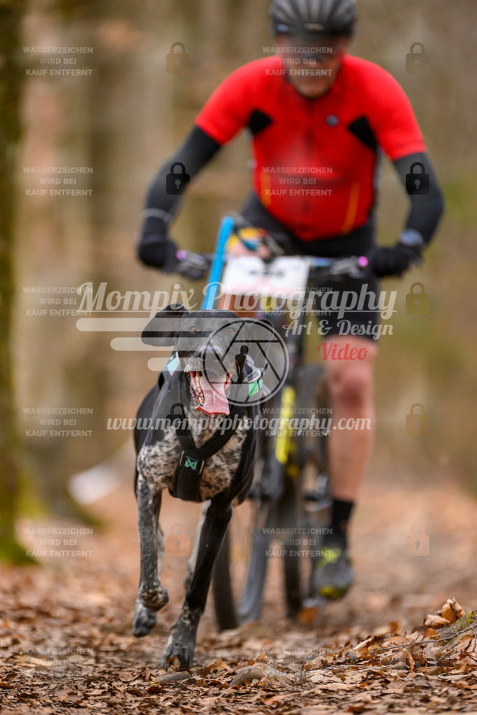 MompixPhotography_Habay2025_SA_Bike-17 | PayLife