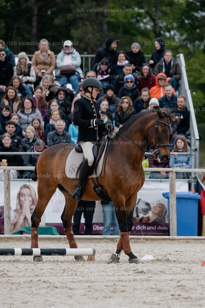 PI26_SP_StoibphotographyC2_C0834.jpg | working equitationturnier fotograf videograf stoibphotography marixx film working equitation deutschland reitsport turnierfotografie eventfotografie equestrian events