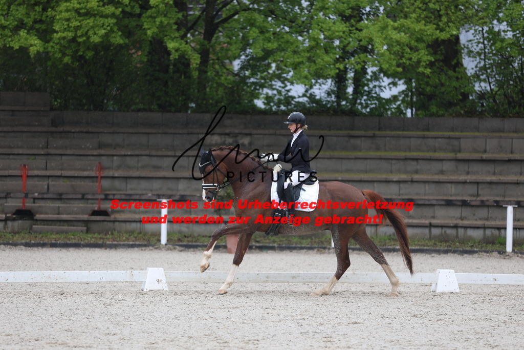 A40A7885 | lmwpictures - Realisiert mit Pictrs.com