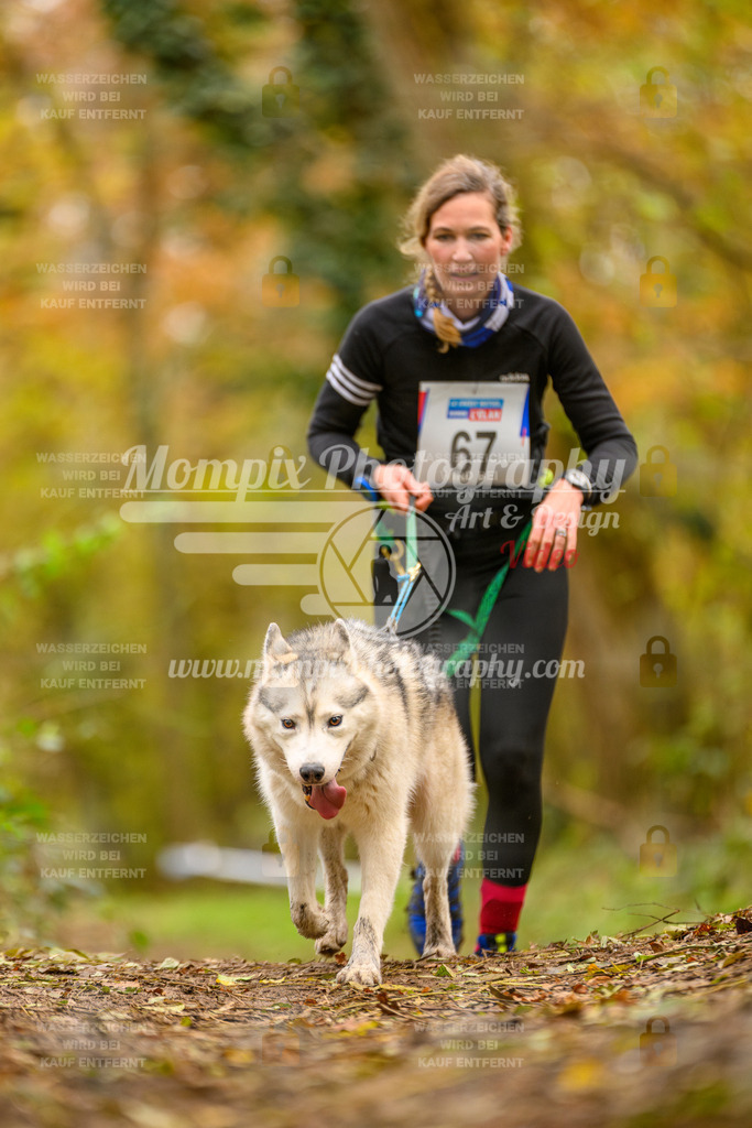 MompixPhotography_Bischwiller24_SA_Canicross-111 | PayLife