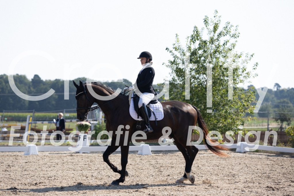 IMG_3378 | Creatify Fotografie