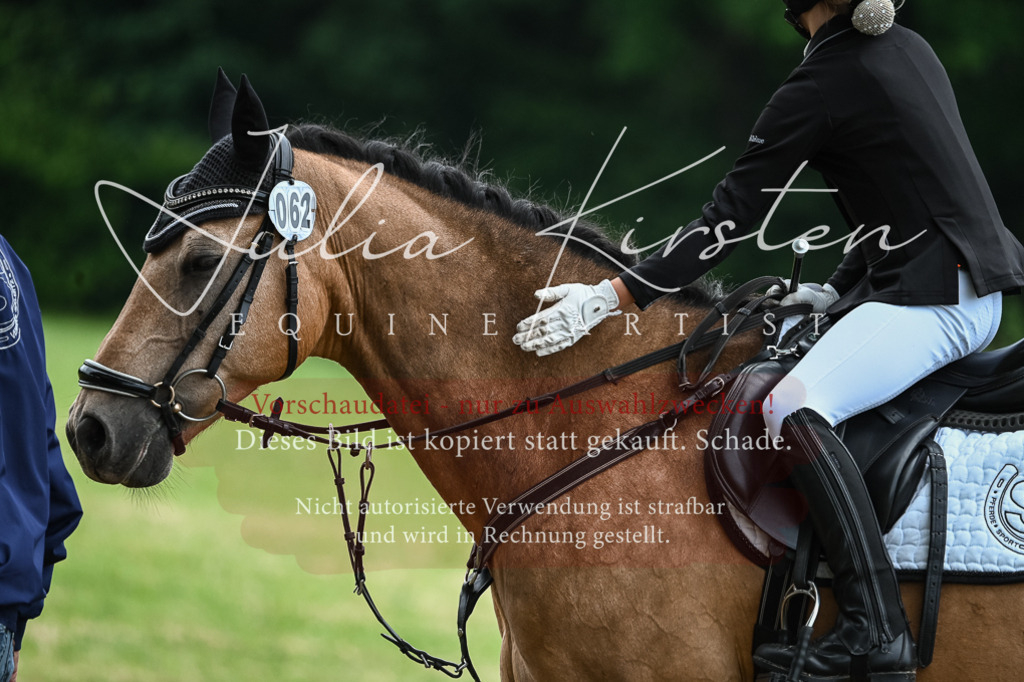 DSC_8596 | Pferde- und Turnierfotografie in Westsachsen. Pferdeportraits, Auftragszeichnungen und intuitive Kunst.