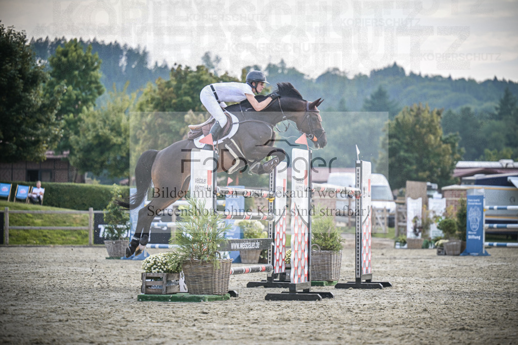 DOS_3665 | Entdecke hochwertige Reitturnierfotos von Foto Oger. Professionell, emotional und authentisch – jetzt Lieblingsmomente im Shop bestellen.Deutschlandweite Turnierfotografie. - Realisiert mit Pictrs.com