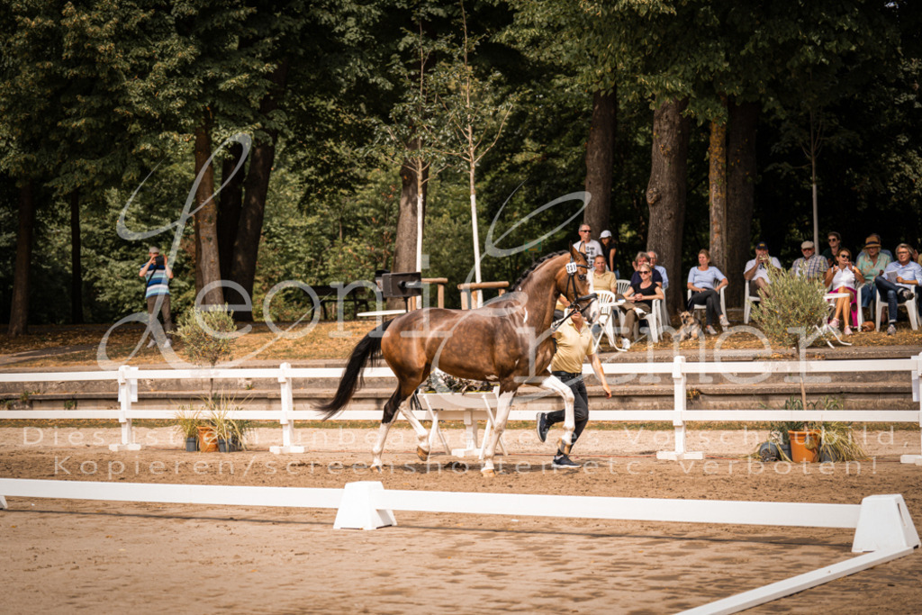 3.Fr00211 | Leoni Ertmer Photography - Realisiert mit Pictrs.com