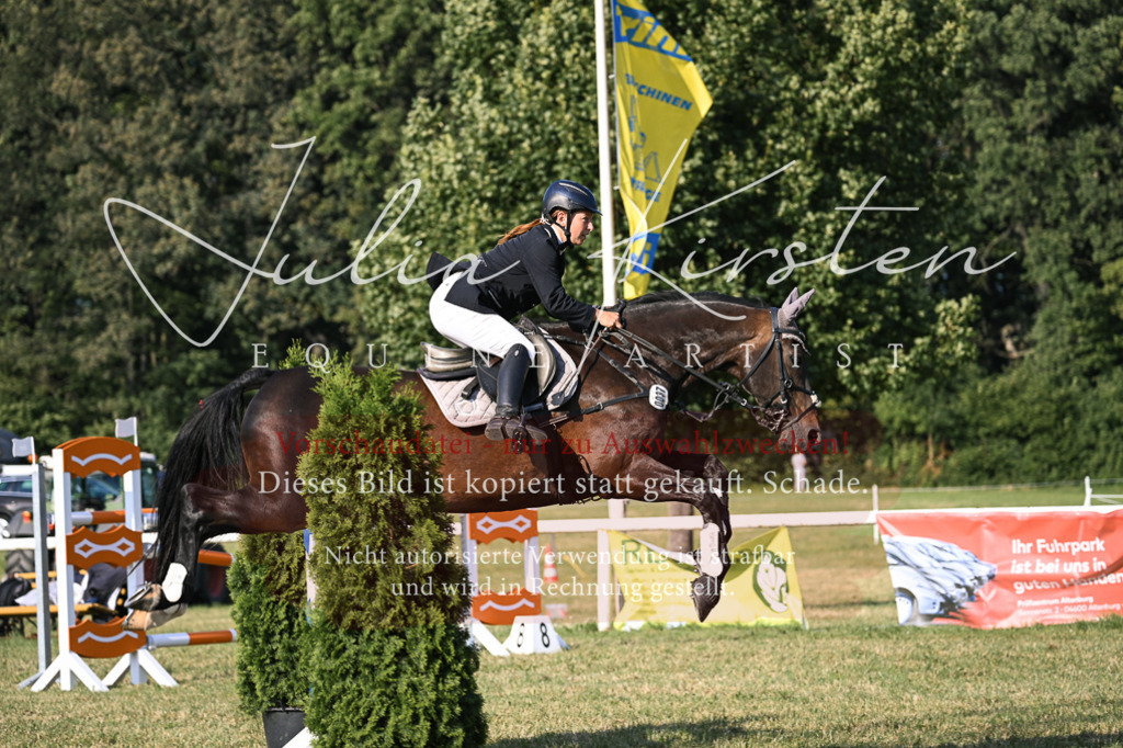DSC_1674 | Pferde- und Turnierfotografie in Westsachsen. Pferdeportraits, Auftragszeichnungen und intuitive Kunst.