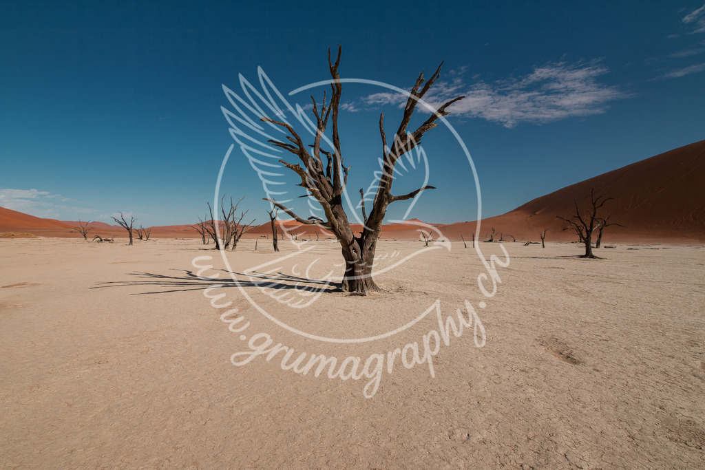 presence - namibia | Authentische Landschafts- & Wildtierfotografie aus der Schweiz. Hochwertige Wandbilder, Fine-Art-Prints und Wunschmotive nach Auftrag – sorgfältig entwickelt im Grumagraphy-Style