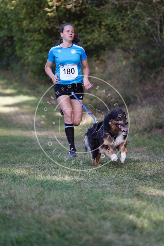 0L8A5448 | Hundefotografie, Tierfotograf, Pfotenfotografie, Fotoshooting Hund, Hunde Portrait, Hundesport, Hundeportraits, Heideshooting, Hunde, Sportfotograf, Hundefotograf, Turnierhundsport, THS,  - Realisiert mit Pictrs.com